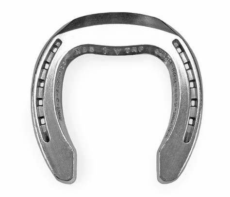 Natural Balance- Aluminum